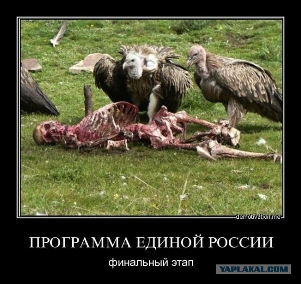 За всё заплатят простые люди: Сбербанк и Ко занялись шантажом правительства