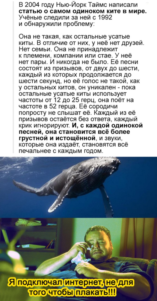 Картинки и мемы для настроения 30.01.21