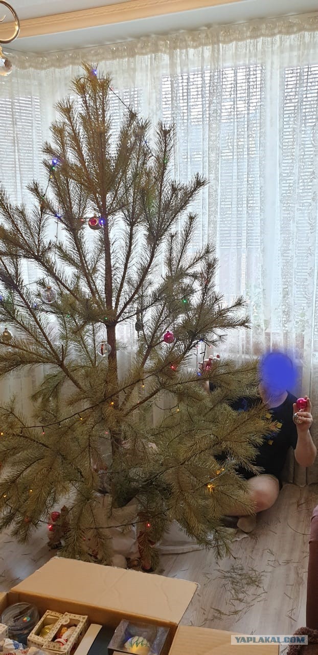 Ну вот и я сегодня сдался...