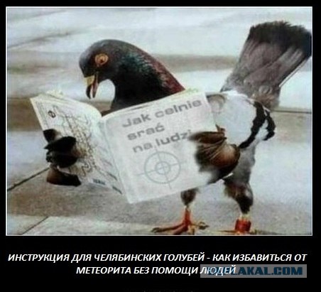 Метеорит был сбит. Нас спасли?