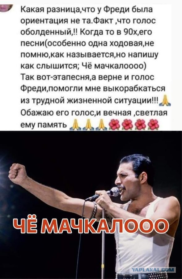 Так себе картинки 20.05.21