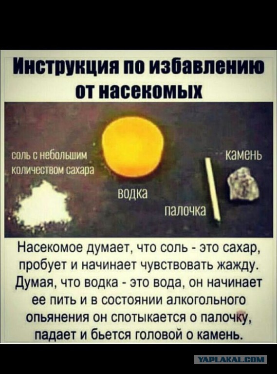 Ловушка на комаров