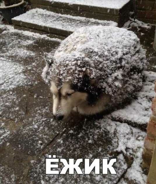 Картинки. 30.09.21