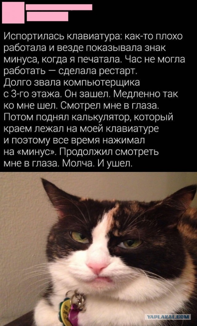 Свинегрет: картинки, надписи и прочее "на", №33