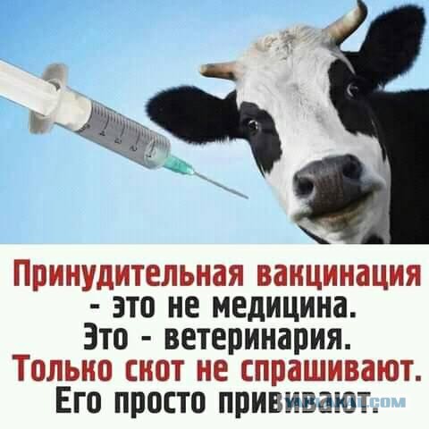 Рязанцев, подлежащих вакцинации, будут штрафовать за несделанную прививку