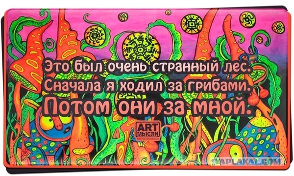 Грибы против Альцгеймера, вирусных гепатитов