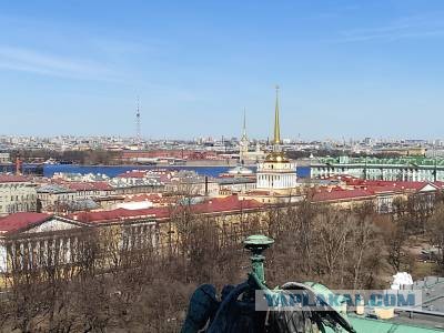 За ширмой дворцов. Городские контрасты