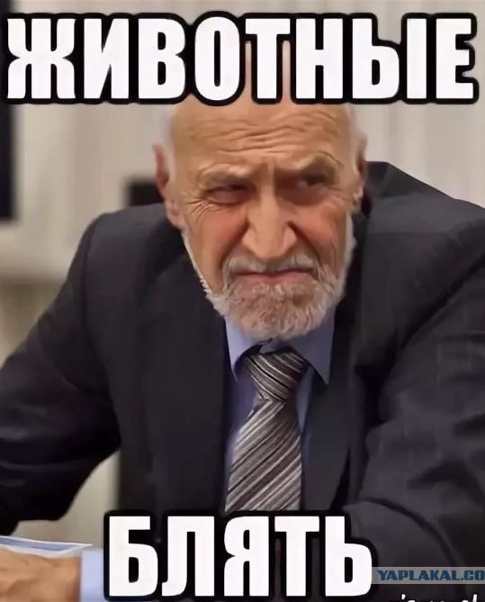 В Узбекистане жених прилюдно ударил невесту, обыгравшую его в конкурсе