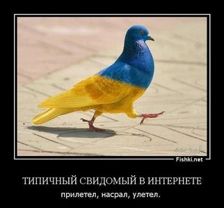 «Северная верфь» передала заказчику первый морозильный траулер-процессор проекта 170701