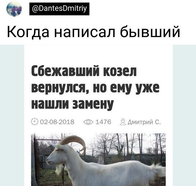 Скриншоты и комментарии из социальных сетей 22.07.22