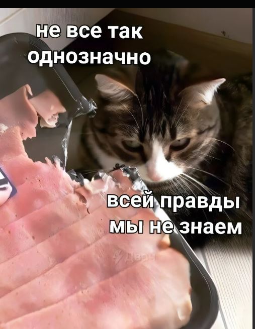 Пандемия съехавших крыш - разновидности болезни. Россия и мир. Часть 44.