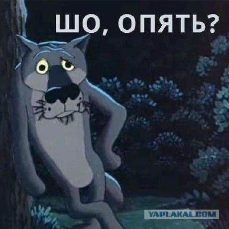 Windows, всё