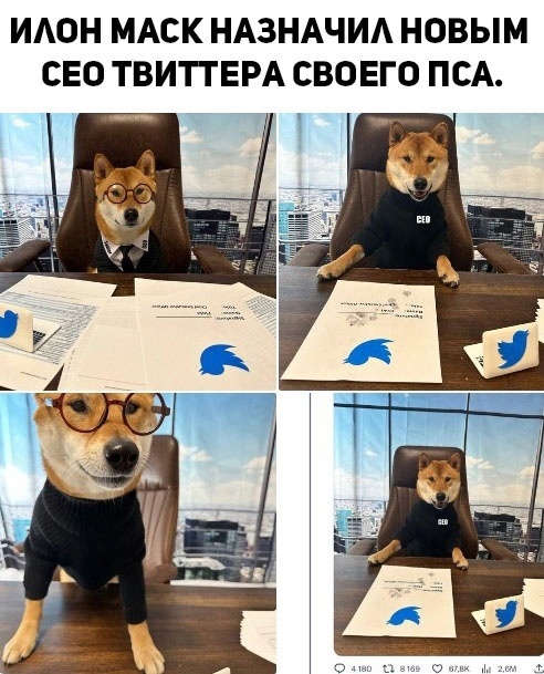 Так себе картинки 07.03.23
