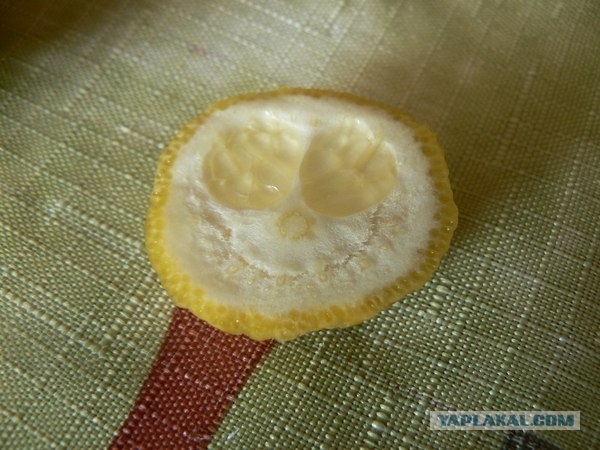 Улыбки, которые нас окружают