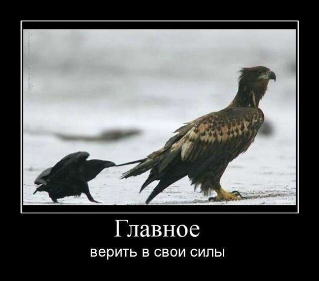 Нуштош 14.04.2023