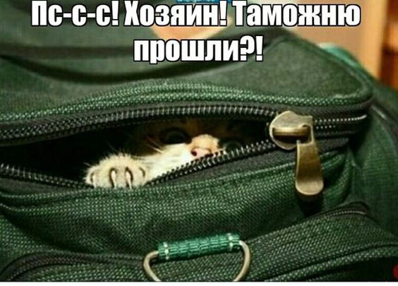 Так себе картинки 14.06.23