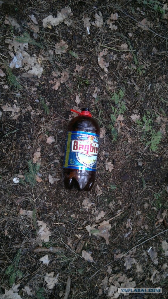 Сходил в лес