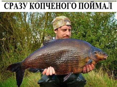 Так себе картинки 31.03.24