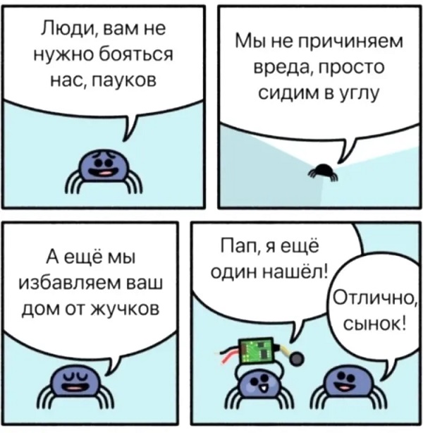 Весёлый полтшок 09.05.24