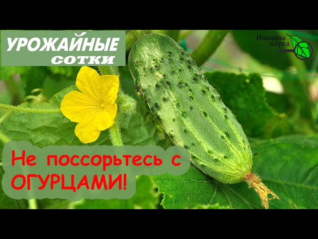 Всего понемногу. От 01.07.2024