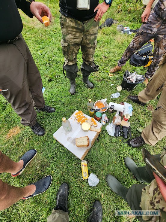Безумству храбрых поем мы песню или Камчатка я опять вернулся.