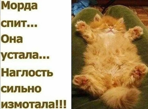 Так себе картинки 27.10.24