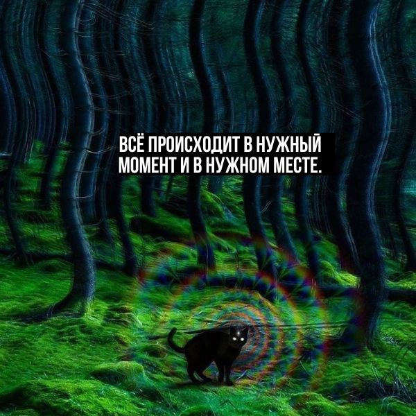 Прикольные и просто красивые картинки 20.12.2024