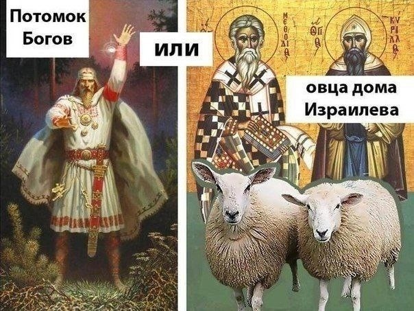 Даёшь сочельник!