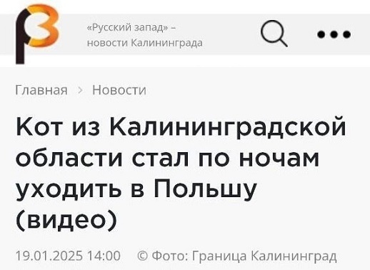 Очередь за забором