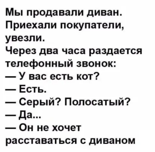 Картинки не для всех