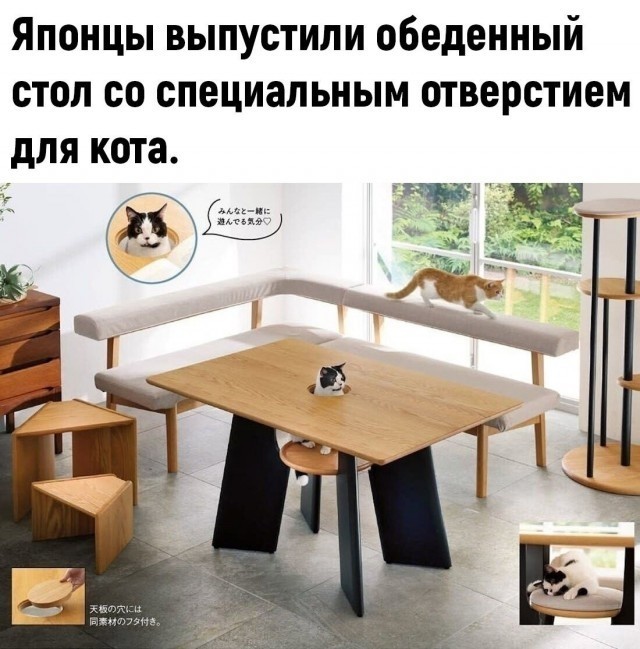 Так себе картинки 17.03.25