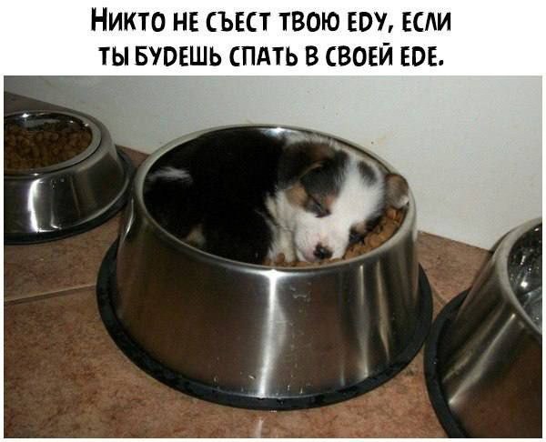 Картинки для деградации 18 (разной степени свежести)