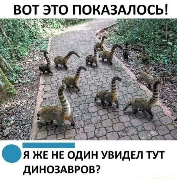 Веселое настроение в картинках 16.08.25
