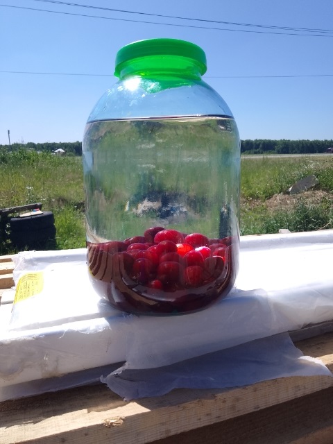 Страшно  помирать медленно....