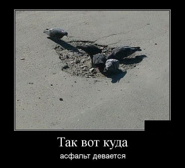 На трассе под Красноярском кто-то похитил 700 тонн асфальта