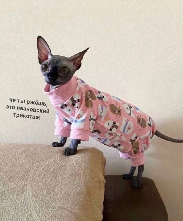Десятый юбилейный