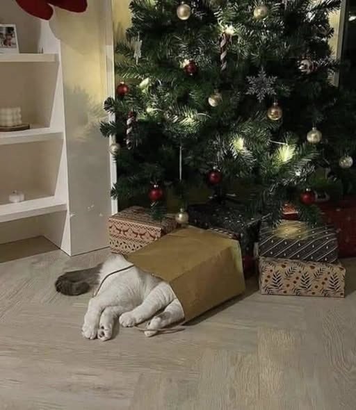 Прикольные и просто красивые картинки 28.11.2025