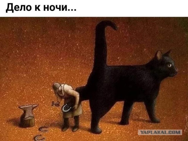 Веселые картинки _)