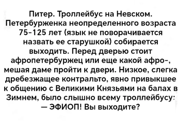 Мой кот