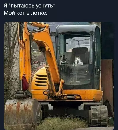 Картиночки, баянчики 8 марта