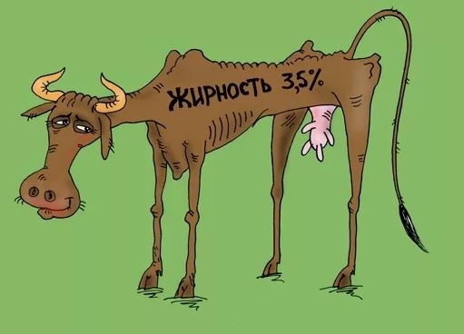 Новости из Новосибирской области