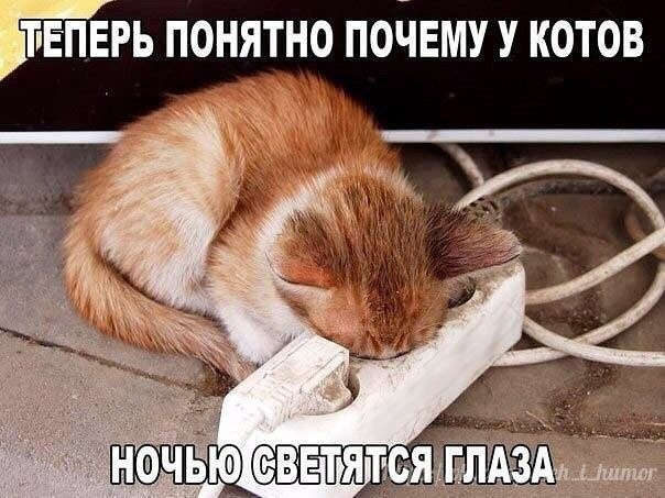 Картинки для деградации 186 (разной степени свежести)