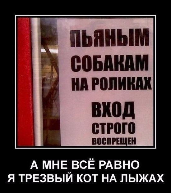 Картиночки, баянчики 01 августа