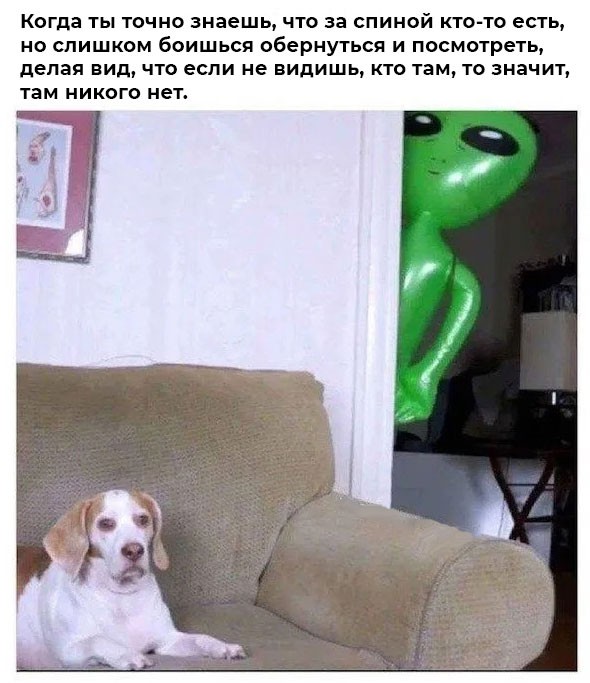 Веселое настроение в картинках 10.08.26