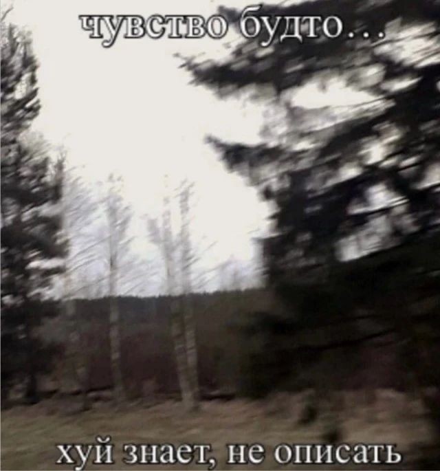 А чой-ли нам не обняться?