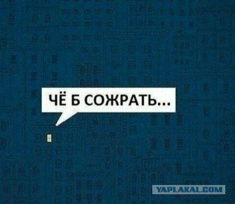 Сон под звук дождя