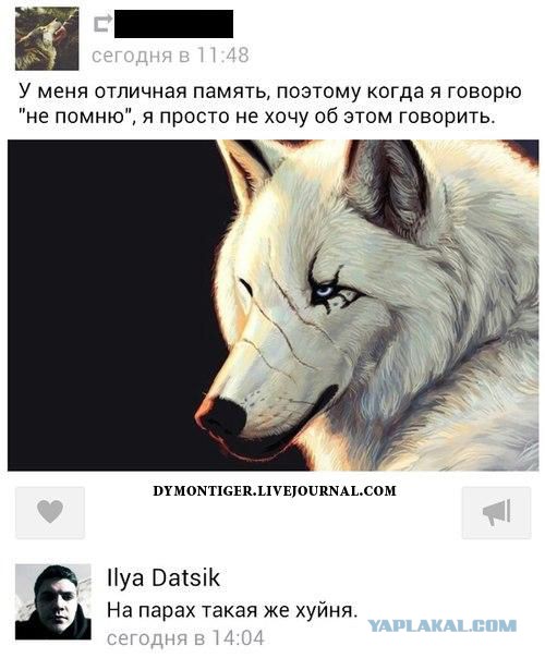 Смешные комментарии из социальных сетей