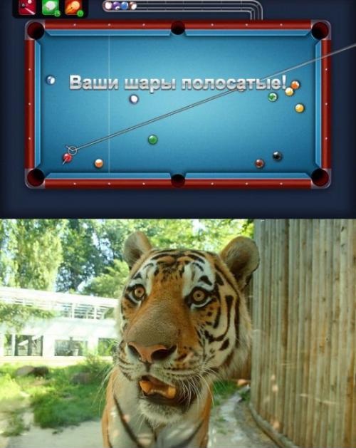 Весёлые картинки. Разбавим будни