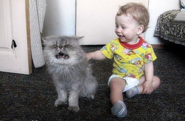 Такая вот любовь.