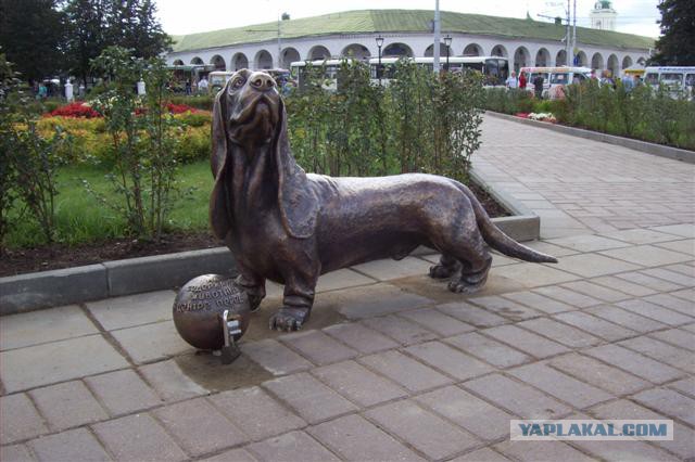 Девушка и котэ